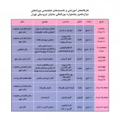 جدول کارگاههای تخصصی و نشست آموزشی دوازدهمین جشنواره بین المللی تئاتر عروسکی تهران - مبارک  (1387) 2